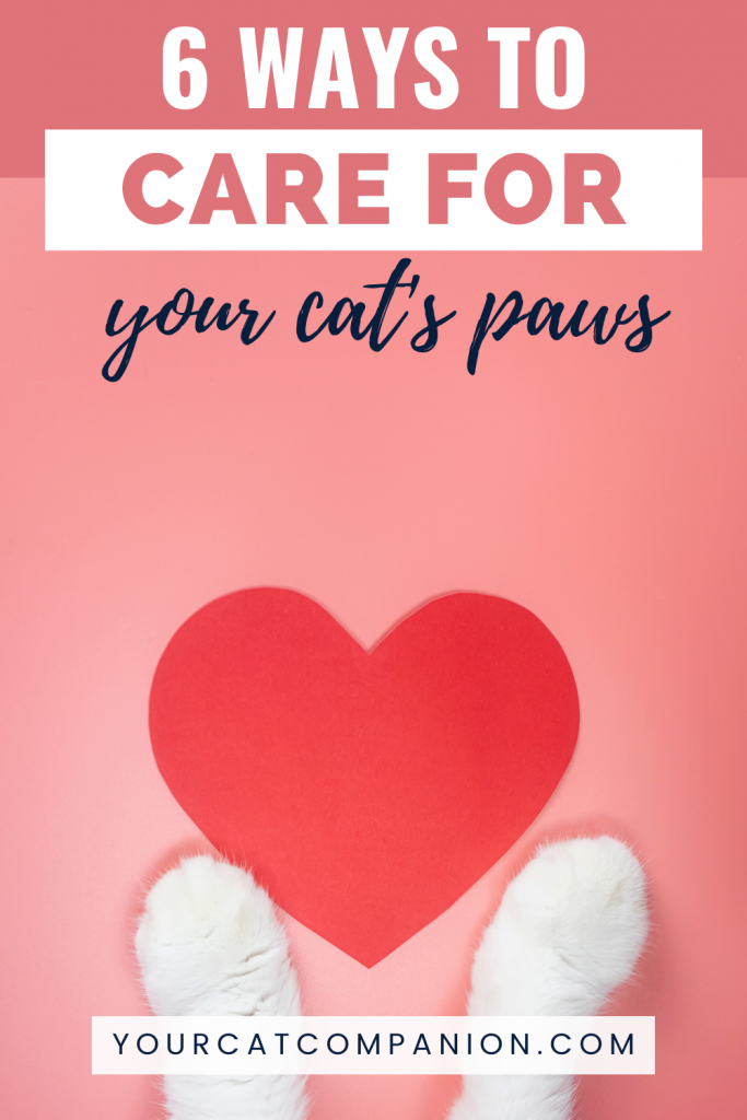 cat paws with red heart